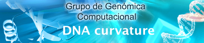 banner_frupo_curvatura